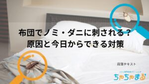 布団のノミダニの対処法